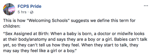 Screen Shot 2018-03-29 at 2.46.48 PM